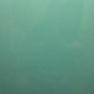 Meet your Posher, Mermerissa